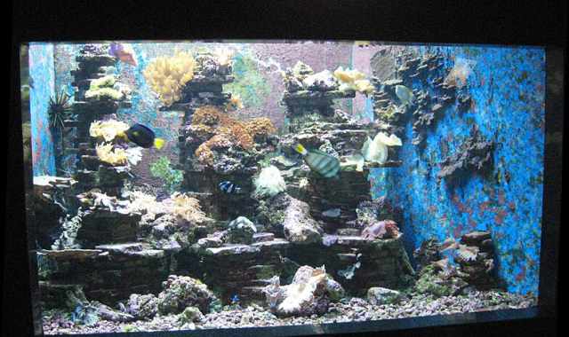 Bari, al Porto riapre ''l'acquario'': visite gratuite tutti i giorni 